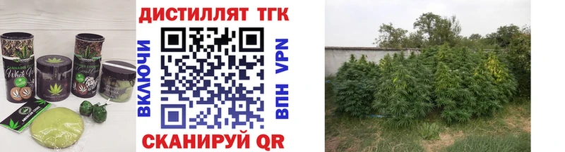 Cannafood конопля  Кодинск 