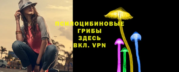 молекула духа Козловка