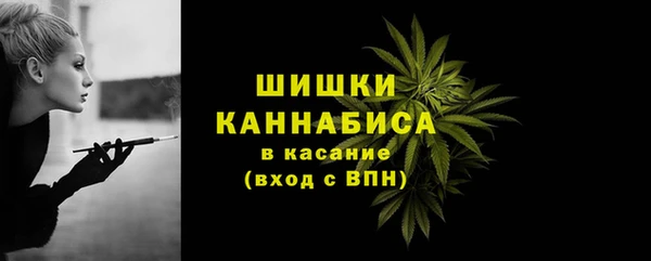 твердый Кодинск