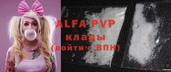 молекула духа Козловка