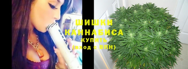 молекула духа Козловка