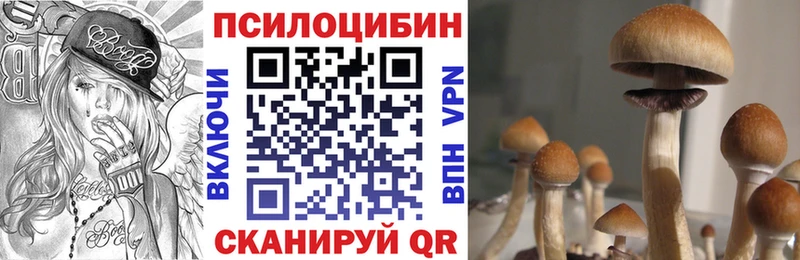 Псилоцибиновые грибы ЛСД  Кодинск 